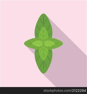 Basil herb icon flat vector. Spice leaf. Leaves plant. Basil herb icon flat vector. Spice leaf