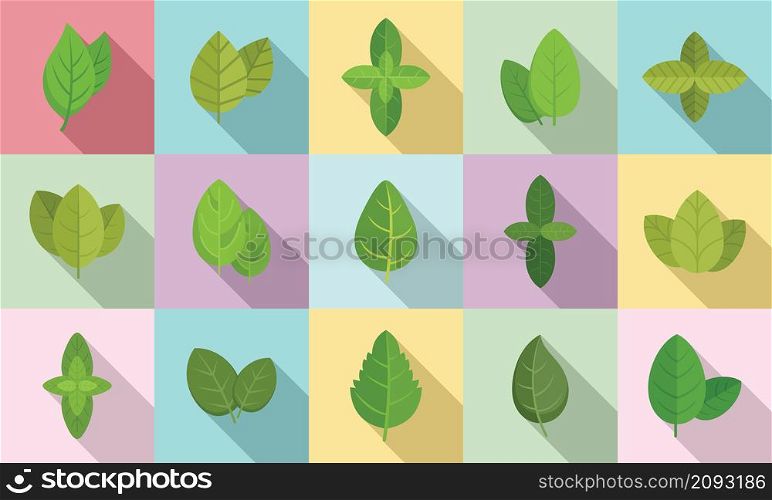 Basil icons set flat vector. Agriculture aroma leaf. Basil healthcare. Basil icons set flat vector. Agriculture aroma leaf