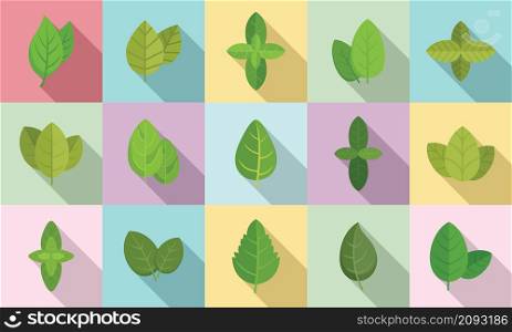 Basil icons set flat vector. Agriculture aroma leaf. Basil healthcare. Basil icons set flat vector. Agriculture aroma leaf