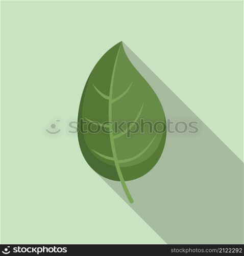 Basil leaf icon flat vector. Herb leaves. Spice plant. Basil leaf icon flat vector. Herb leaves