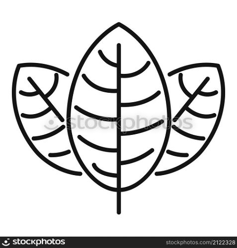 Basil leaf icon outline vector. Herb leaves. Spice plant. Basil leaf icon outline vector. Herb leaves