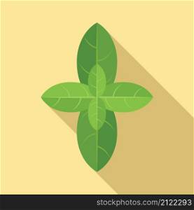 Basil leaves icon flat vector. Herb plant. Leaf spice. Basil leaves icon flat vector. Herb plant