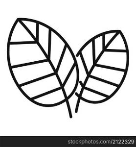 Basil leaves icon outline vector. Herb plant. Leaf spice. Basil leaves icon outline vector. Herb plant