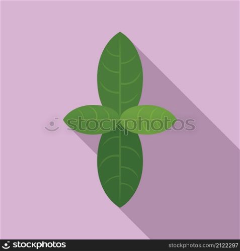 Basil plant icon flat vector. Leaf herb. Cooking food. Basil plant icon flat vector. Leaf herb