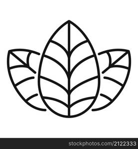 Basil plant icon outline vector. Leaf herb. Cooking food. Basil plant icon outline vector. Leaf herb