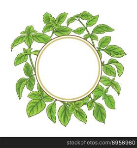 basil plant vector frame. basil plant vector frame on white background