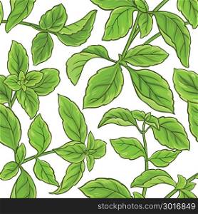 basil plant vector pattern. basil plant vector pattern on white background