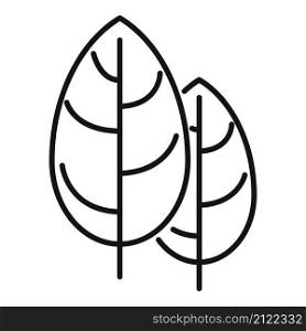 Basil spice icon outline vector. Cooking herb. Leaf plant. Basil spice icon outline vector. Cooking herb