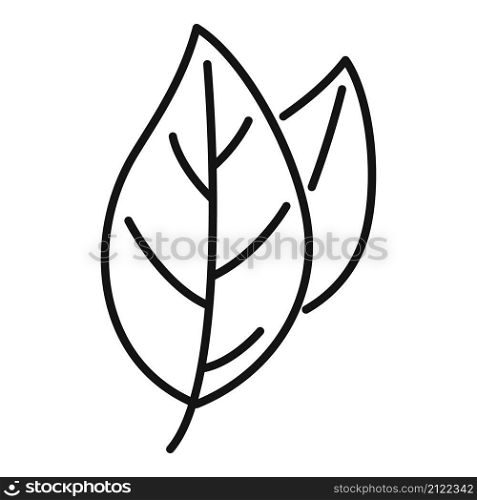 Basil spice plant icon outline vector. Herb leaf. Cooking plant. Basil spice plant icon outline vector. Herb leaf