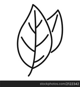 Basil spice plant icon outline vector. Herb leaf. Cooking plant. Basil spice plant icon outline vector. Herb leaf
