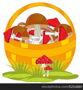 Basket with mushrooms. Basket full mushroom on white background is insulated