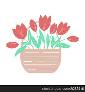 Basket with spring flowers isolated vector illustration. Basket with tulips. Natural decoration. Basket with spring flowers isolated vector illustration