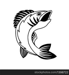 Bass Fish logo template. Animal hand drawn silouette isolated on white background. Vector logotype. Fish logo template. Round sign . Vector logotype