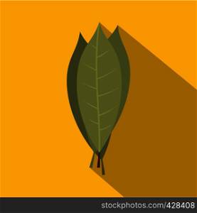 Bay laurel leaves icon. Flat illustration of bay laurel leaves vector icon for web isolated on yellow background. Bay laurel leaves icon, flat style