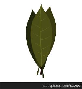 Bay laurel leaves icon flat isolated on white background vector illustration. Bay laurel leaves icon isolated