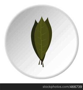 Bay laurel leaves icon in flat circle isolated on white background vector illustration for web. Bay laurel leaves icon circle