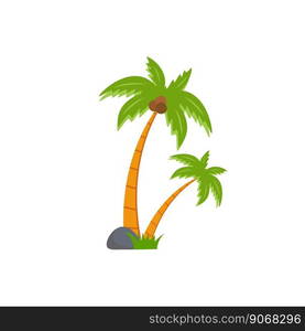 Beach coconut tree, seaside palm tree, coconut tree or island palm tree.