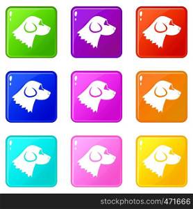 Beagle dog icons of 9 color set isolated vector illustration. Beagle dog icons 9 set