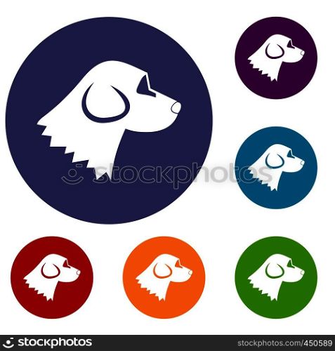 Beagle dog icons set in flat circle reb, blue and green color for web. Beagle dog icons set