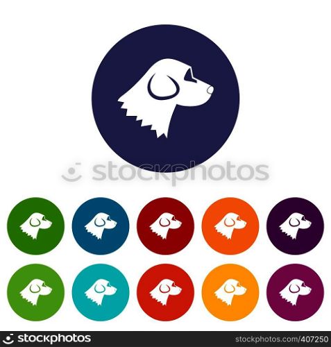 Beagle dog set icons in different colors isolated on white background. Beagle dog set icons