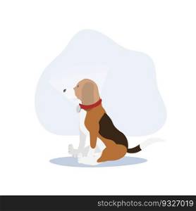 beagle Dog with elizabethan collar. Plastic cone of Shame. Flat vector cartoon illustration