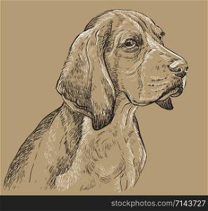 Beagle vector hand drawing illustration in black and white colors isolated on beige background