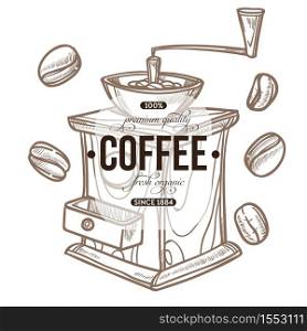 Beans processing coffee grinder cafe or bar hot drink vector isolated sketch icon brewing caffeine energy breakfast espresso grains natural beverage preparation kitchen tool manual mechanism. Coffee grinder and beans isolated sketch icon cafe or bar