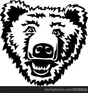 Bear 02