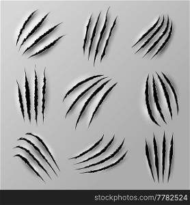Bear and tiger claw marks and scratches from beast animal paw nails, realistic vector. Wild cat or lion and bear claw slashes, monster beast or werewolf attack scratches and shred traces. Bear and tiger claw marks, scratches of beast
