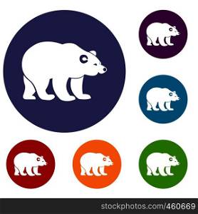 Bear icons set in flat circle reb, blue and green color for web. Bear icons set