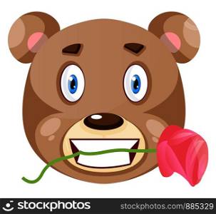 Bear is holding rose in his mouth, illustration, vector on white background.