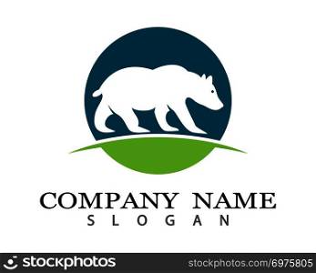 Bear logo template vector icon illustration design