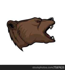 Bear or grizzly animal head vector mascot. Sport, hunting and zoo symbol of wild angry brown bear, aggressive predatory mammal roaring with open jaws, fang teeth and red eyes. Grizzly bear animal head mascot, hunting and sport