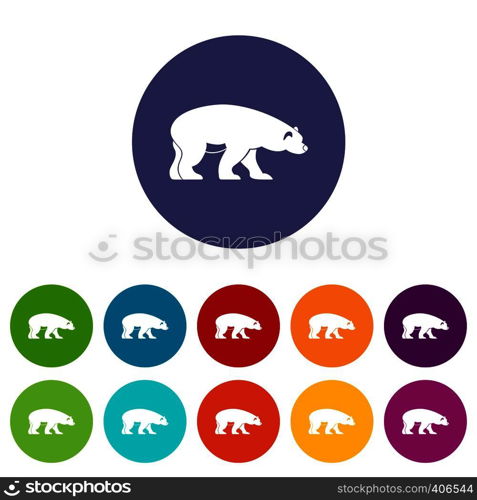 Bear set icons in different colors isolated on white background. Bear set icons