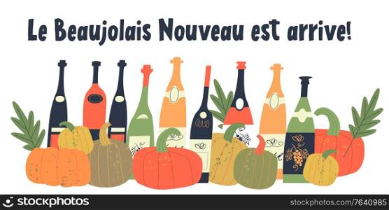 Beaujolais Nouveau has arrived. the inscription in French. Vector illustration with bottles of young wine, bright orange pumpkins and autumn leaves. Illustration for the festival of young wine in France on the third Thursday in November.. Beaujolais Nouveau has arrived the inscription in French. Vector illustration with bottles of young wine, bright orange pumpkins and autumn leaves.