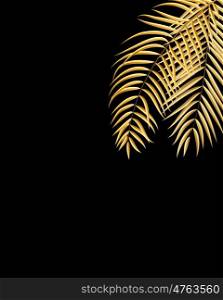 Beautifil Palm Tree Leaf Silhouette Background Vector Illustration EPS10. Beautifil Palm Tree Leaf Silhouette Background Vector Illustrat