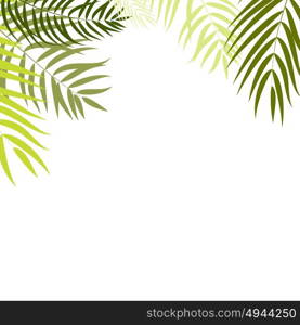 Beautifil Palm Tree Leaf Silhouette Background Vector Illustration EPS10. Beautifil Palm Tree Leaf Silhouette Background Vector Illustrat