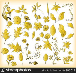 beautiful abstract floral elements for design with lots of leaves
