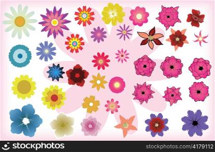 beautiful abstract floral elements for design with lots of petals