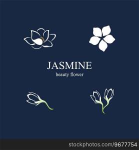 beautiful and graceful jasmine flowers on a blue background