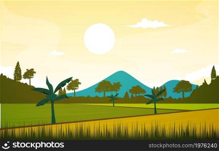 Beautiful Asian Paddy Rice Field Agriculture Nature View Illustration
