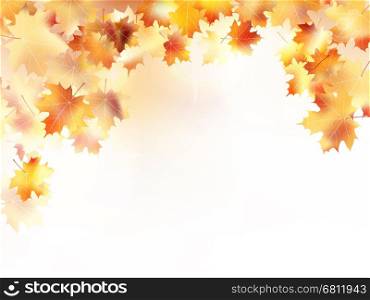 Beautiful autumn background with maple leaves. plus EPS10 vector file