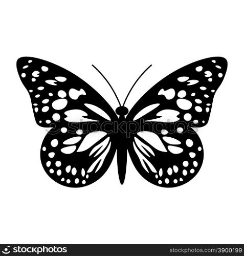 Beautiful black and white butterfly isolated on white