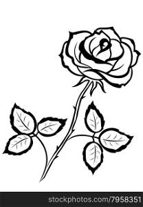 Beautiful black outline of single rose flower isolated on a white background, vector illustration