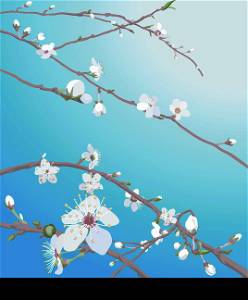 Beautiful blossom flowers on a tree. No meshes used.