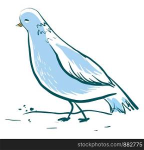 Beautiful blue dove, illustration, vector on white background.