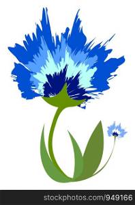 Beautiful blue flower