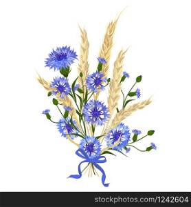 Beautiful bouquet of cornflowers and wheat spikelets, tied with silk ribbon Isolated on white. The best idea for greeting cards, invitations, wedding design. Beautiful bouquet of cornflowers and wheat spikelets, tied with silk ribbon