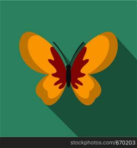 Beautiful butterfly icon. Flat illustration of beautiful butterfly vector icon for web. Beautiful butterfly icon, flat style.