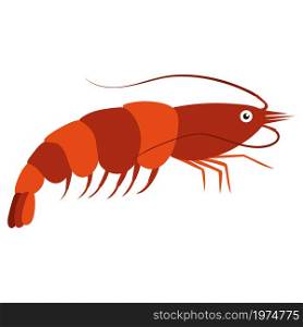 Beautiful cartoon illustration with colorful sea animals shrimp on white background for print design. Kid graphic. Sea underwater life. Vector isolated hand drawing.. Beautiful cartoon illustration with colorful sea animals shrimp on white background for print design. Kid graphic.